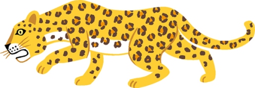 40leopard